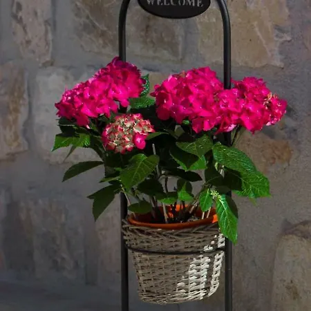 Beautifu Stone Krcina 빌라 Vinišće
